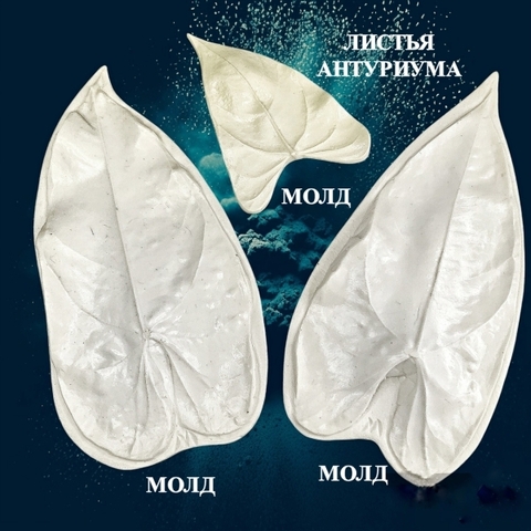 Молды для творчества 