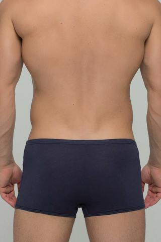 Мужские трусы 027 Blue Salvador Dali