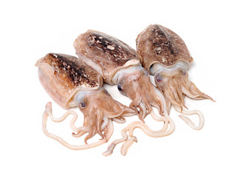 Каракатица охлажденная~1кг