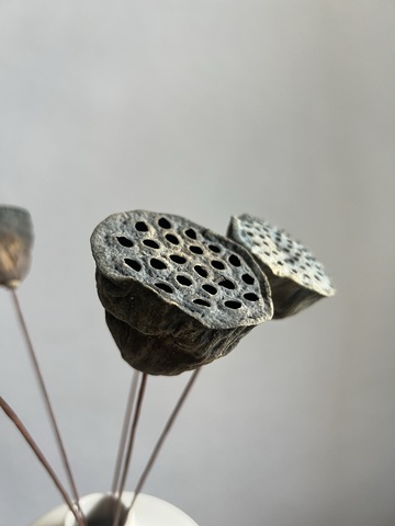 Лотос (упак 5 шт)