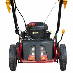 Газонокосилка бензиновая DDE LM 51-60 D ( 