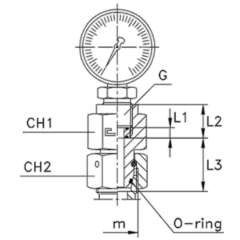 Соединение GCN DS10 М18х1.5 BSP 1/2" (без манометра) CAST