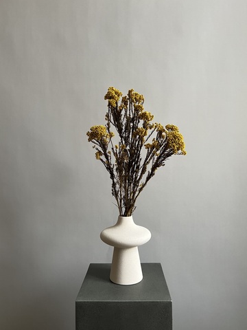 Озотамнус стабилизированный желтый