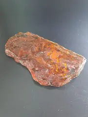 Копал молодой янтарь коллекционный 128 гр