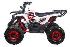 Квадроцикл YACOTA FUSION 125