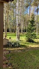 Дождевая цепь «Чаша нержавеющая на цепи»