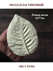 Молд пластиковый 