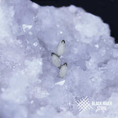 Leaflet v.2 White Jade