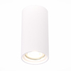 Светильник потолочный ST Luce ST155.502.01