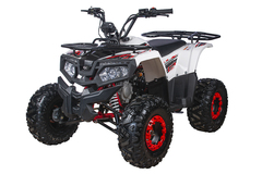 Квадроцикл YACOTA FUSION 125