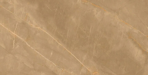 ARTCER Eco Royalish Brown 60x120