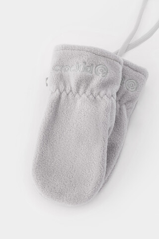 варежки  для мальчика  ФЛ 10000/25/56 ГР