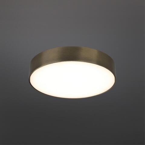 Потолочный светодиодный светильник Aployt Evon APL.0114.29.24