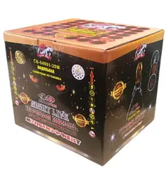 НОЧНАЯ ЖИЗНЬ