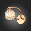 Светильник настенный ST Luce Legatezza SL1502.201.01