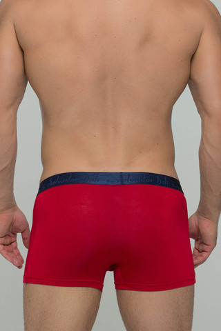 Мужские трусы 2016 Red Salvador Dali