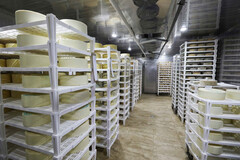 Холодильная (климатическая)  камера для созревания (вызревания) сыра