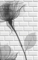 Панель ПВХ 3D Бланш Розы рисунок 2700х250 мм