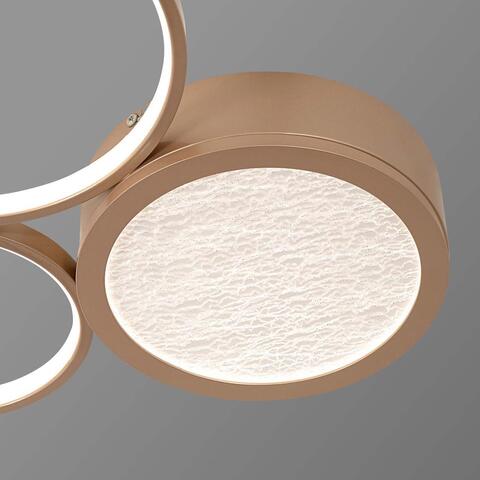 Потолочная светодиодная люстра F-Promo Campus 4681-3C