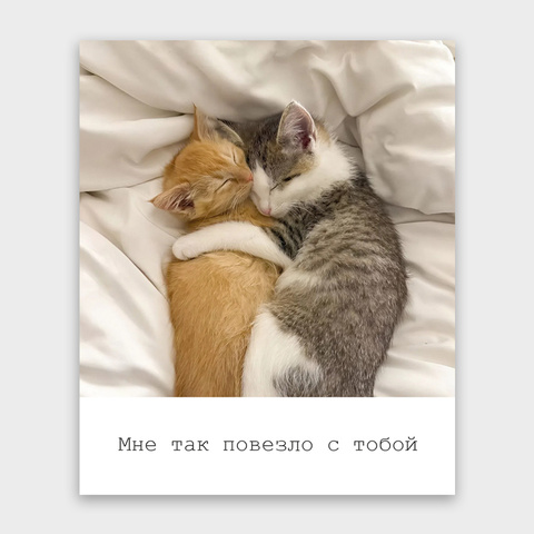 Фото-карточка 