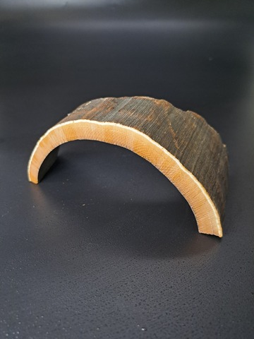 Бивень мамонта для коллекции и поделок