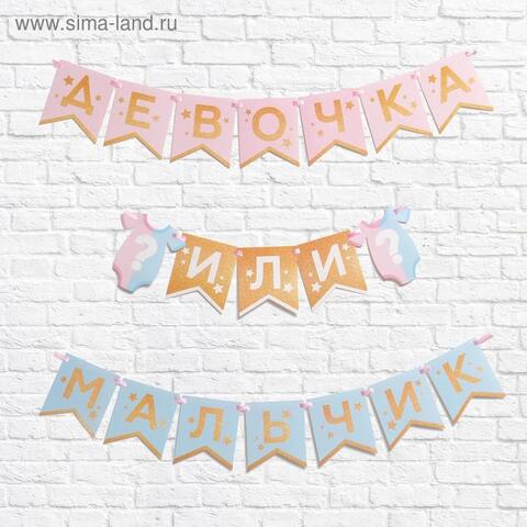 Гирлянда-флажки, Гендер пати, Мальчик или девочка, на ленте, 2,2 м, 1 шт.