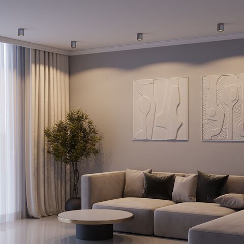 Накладной светодиодный светильник Elektrostandard Primo 25116/LED 12W 4000K титан