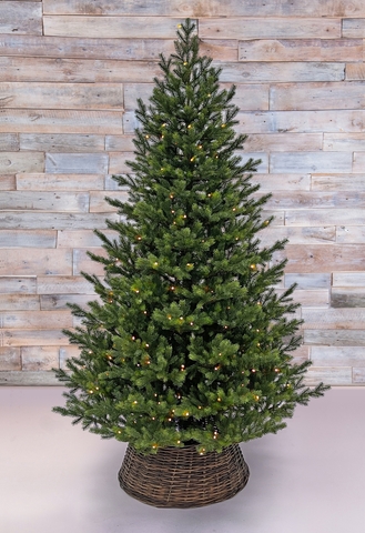 Ель датская 185см 312 ламп Black Box зеленая