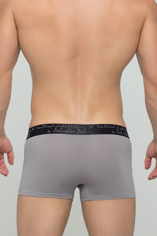 Мужские трусы 2020 Grey-2 Salvador Dali