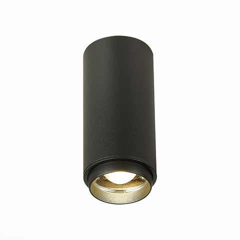 Светильник потолочный ST Luce ST600.442.10