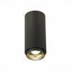 Светильник потолочный ST Luce ST600.442.10