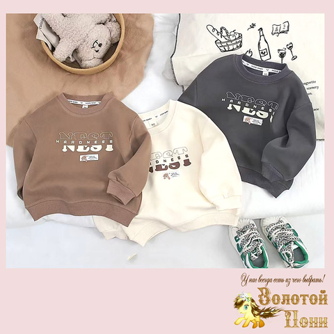 Свитшот хлопок м (1-5) 250616-X159