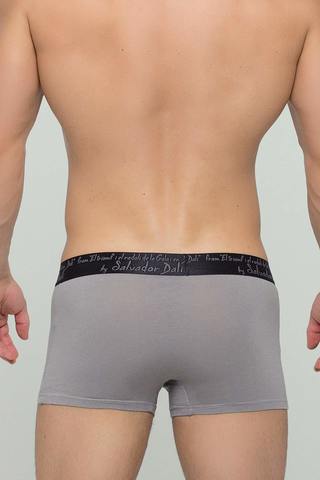 Мужские трусы 2020 Grey-3 Salvador Dali