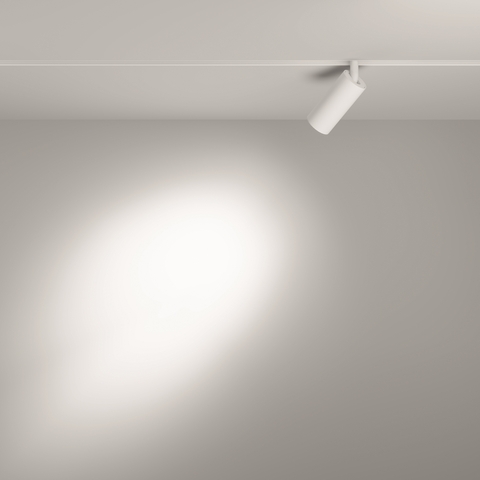 Трековый светильник Maytoni Focus led TR032-2-5W4K-S-W