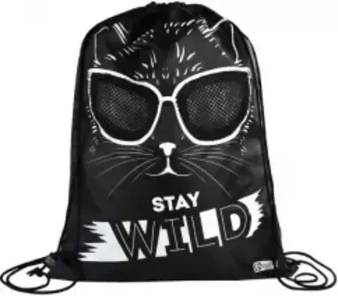 Мешок для сменной обуви Феникс+, арт.62647/ 50 СТИЛЬНАЯ КИСА (36х48 см, полиэстер, окно из сетки, шелкография, 1 отделений (-я), шнурок, ПЭТ-пакет с европодвесом)