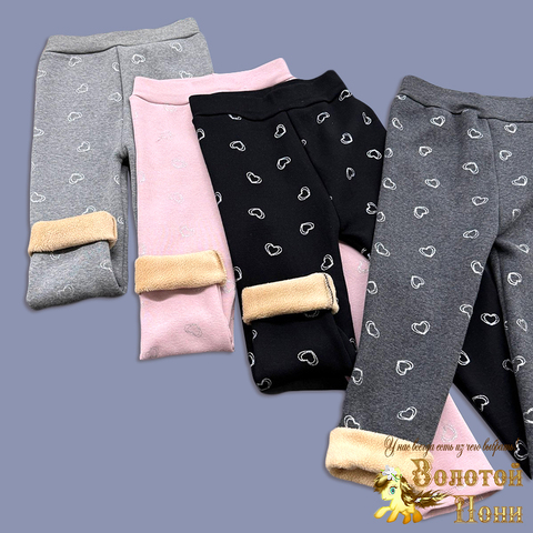 Лосины на меху (5-8) 250824-G6203