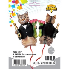 К Фигура, Кот с тюльпанами и шампанским, 46