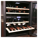 Винный шкаф Cellar Private CP043-2T