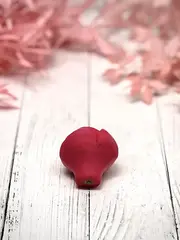 Пищевой молд 