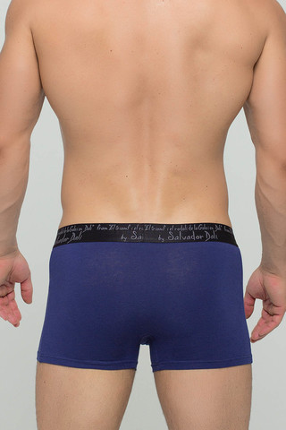 Мужские трусы 2020 Blue Salvador Dali