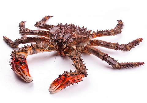 Краб колючий варено-мороженый~1кг