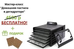 Дегидратор (сушилка) Excalibur Digital 5B