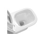 Aquatek AQ4411-00 AQ4411-00 Унитаз напольный, безободковый Aquatek Optima Square 665x345x775