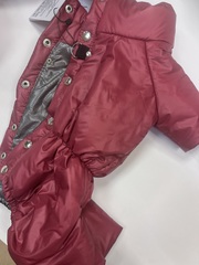 Зимний комбинезон для собак (девочка)