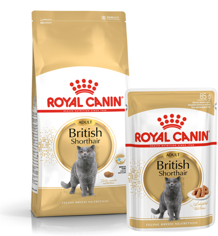 ПРОМО! Royal Canin British Shorthair Adult сухой корм для кошек Британская короткошёрстная 2кг+пауч