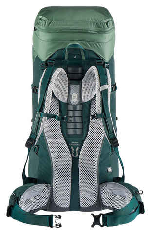 Картинка рюкзак туристический Deuter Aircontact Lite 60+10 SL aloe-forest - 2