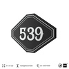 Номерок на дверь квартиры 539, для кабинета, офиса, шильдик 9 х 7 см, черный, Айдентика Технолоджи