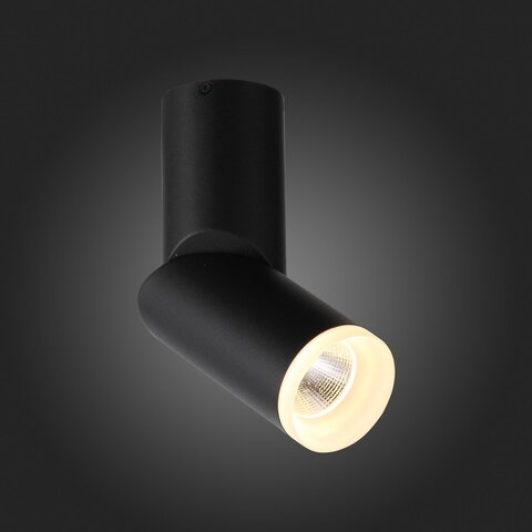 Светильник потолочный ST Luce ST107.402.10