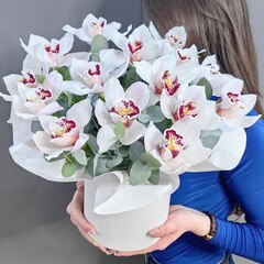 Коробка с 15 белыми орхидеями