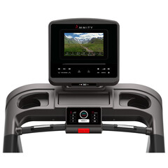 Беговая дорожка Ammity Fashion FTM 5120 TFT